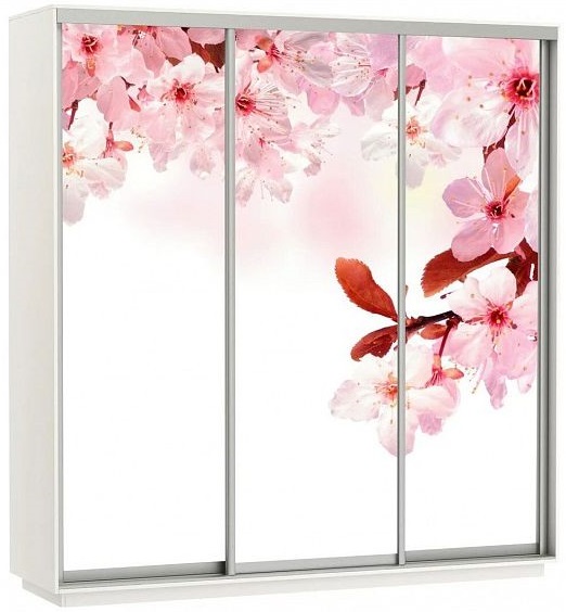 Фото Шкаф-купе Экспресс Трио Фото (2,1х0,6х2,2 - 3 двери) от производителя Мебельная компания Е1 в Мелитополе по цене 51&nbsp;430 ₽