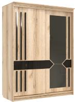 Фото  шкаф-купе №25 блэк (1,7 - 2 двери) производитель 