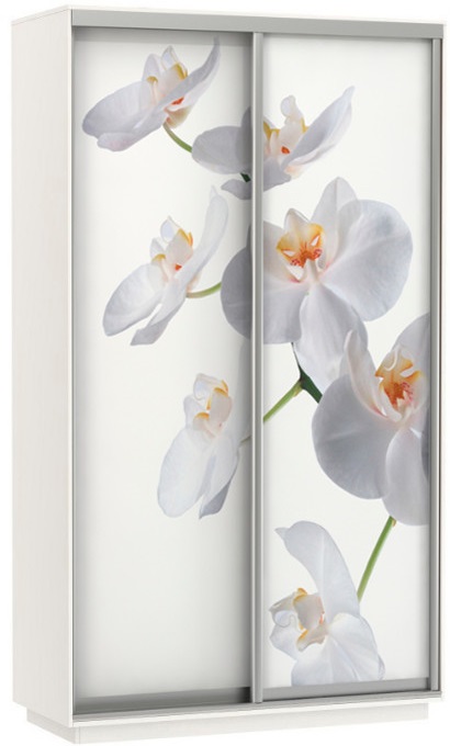 Фото Шкаф-купе Экспресс Дуо Фото (1,6х0,6х2,4 - 2 двери) от производителя Мебельная компания Е1 в Мелитополе по цене 43 340 ₽