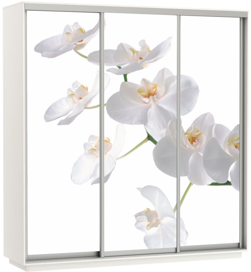 Фото Шкаф-купе Экспресс Трио Фото (2,4х0,6х2,4 - 3 двери) от производителя Мебельная компания Е1 в Мелитополе по цене 63&nbsp;870 ₽