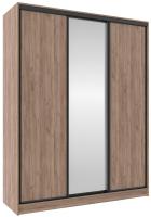Фото shkaf-kupe-v-prikhozhuyu шкаф-купе 2000 домашний (3 двери) производитель Глазов