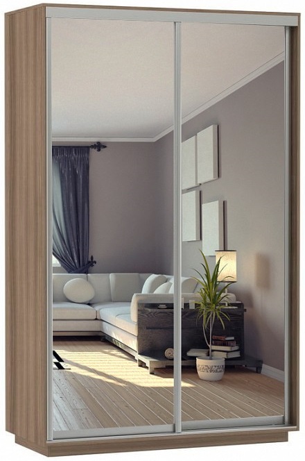 Фото Шкаф-купе Экспресс Дуо Экспенс (1,6х0,6х2,2 - 2 двери) от производителя Мебельная компания Е1 в Мелитополе по цене 34 170 ₽