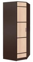 Шкаф Сакура (88) угловой (венге, лоредо-венге,(БТС)) в Мелитополе от производителя 